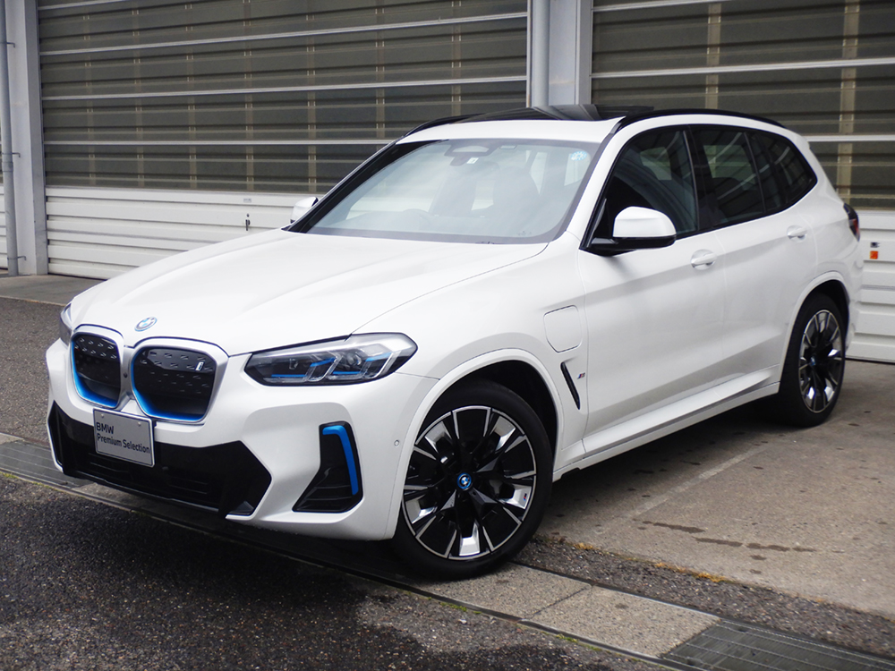 iX3 M Sport