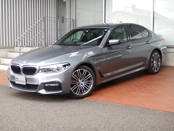 530e M Sport